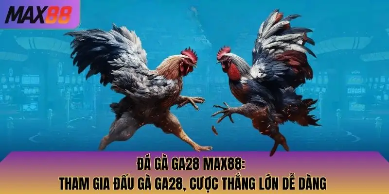 đá gà GA28
