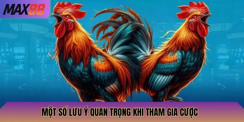 Một số lưu ý quan trọng khi tham gia cược