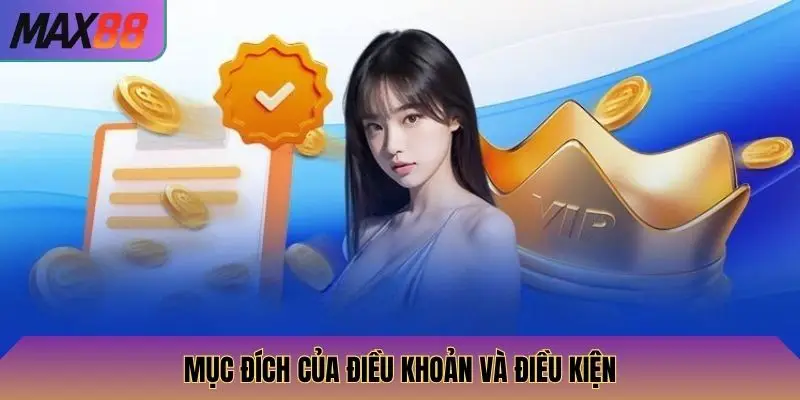 Mục đích của điều khoản và điều kiện