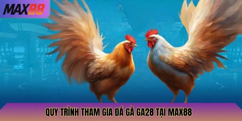 Quy trình tham gia đá gà GA28 tại Max88