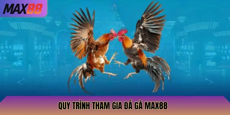 Quy trình tham gia đá gà Max88