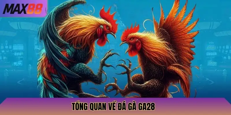 Tổng quan về đá gà GA28