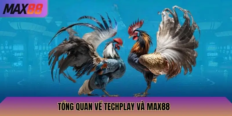 Tổng quan về Techplay và Max88